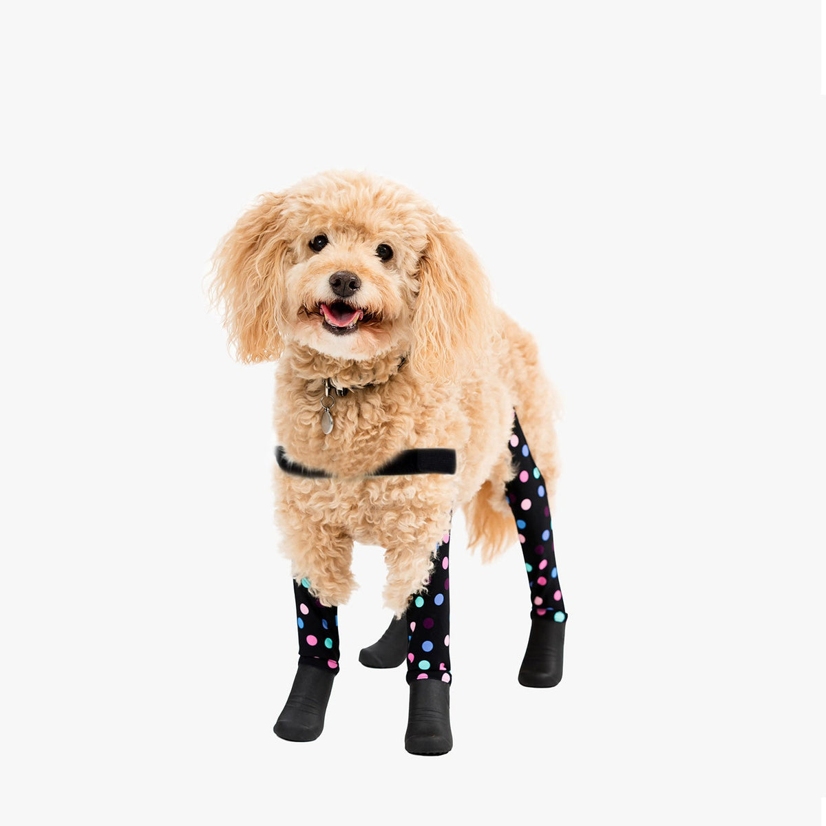 Waterproof Dog Boot Leggings, Confetti / S