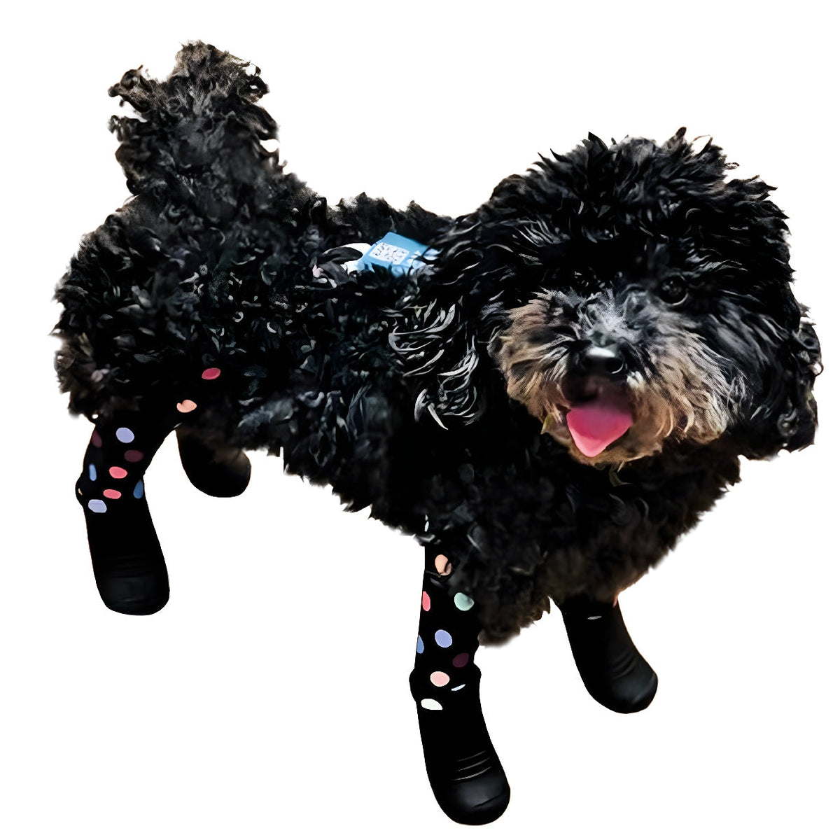 Waterproof Dog Boot Leggings, Confetti / XS-Short