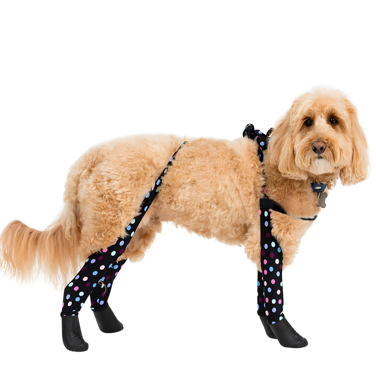 Waterproof Dog Boot Leggings, Confetti / S/M