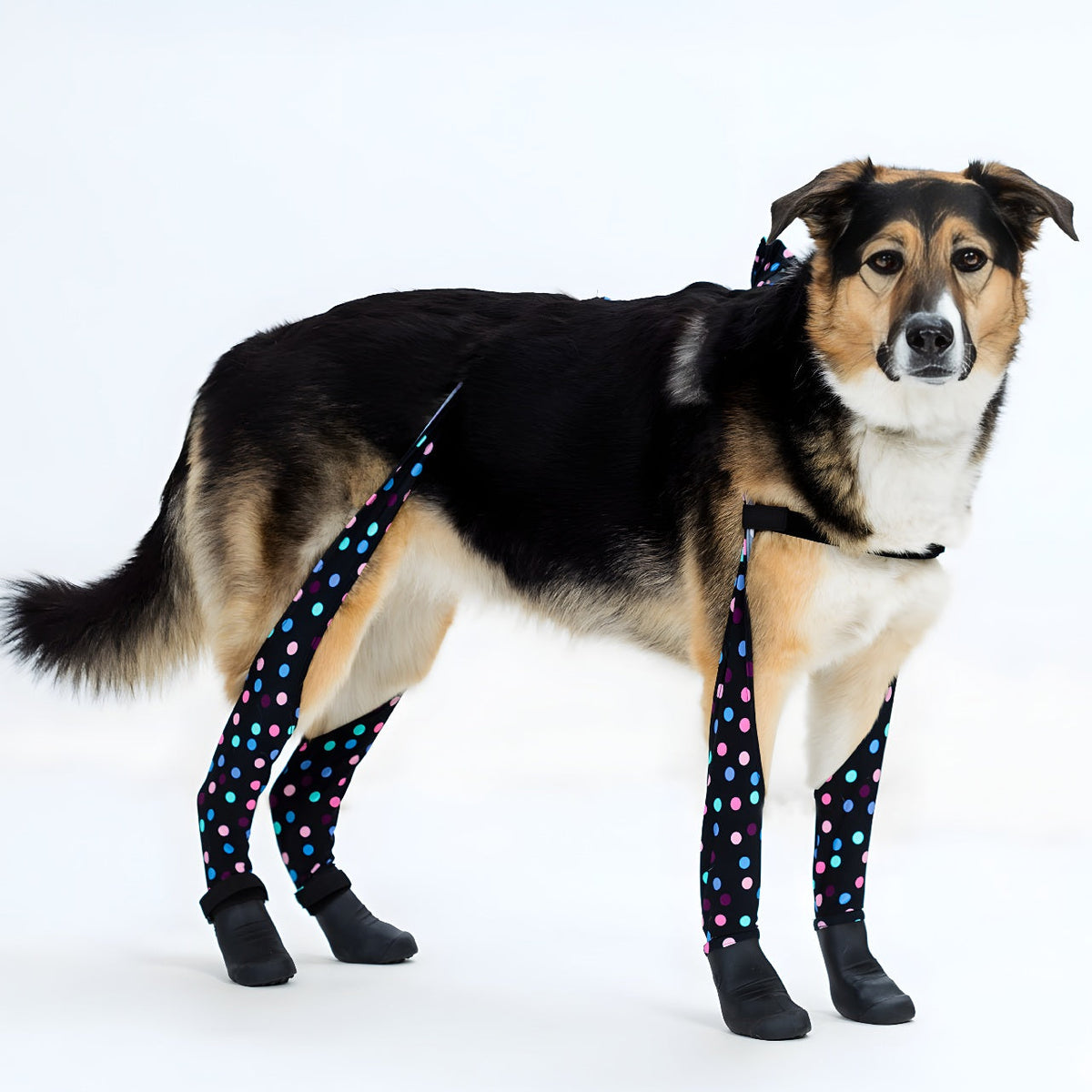 Waterproof Dog Boot Leggings, Confetti / M
