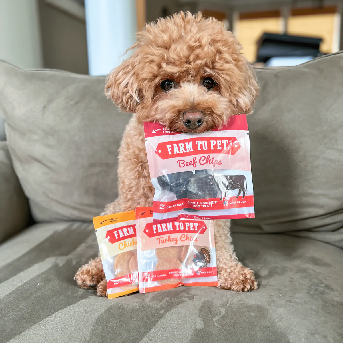 Snack Pack Dog Treat Sampler product image 10