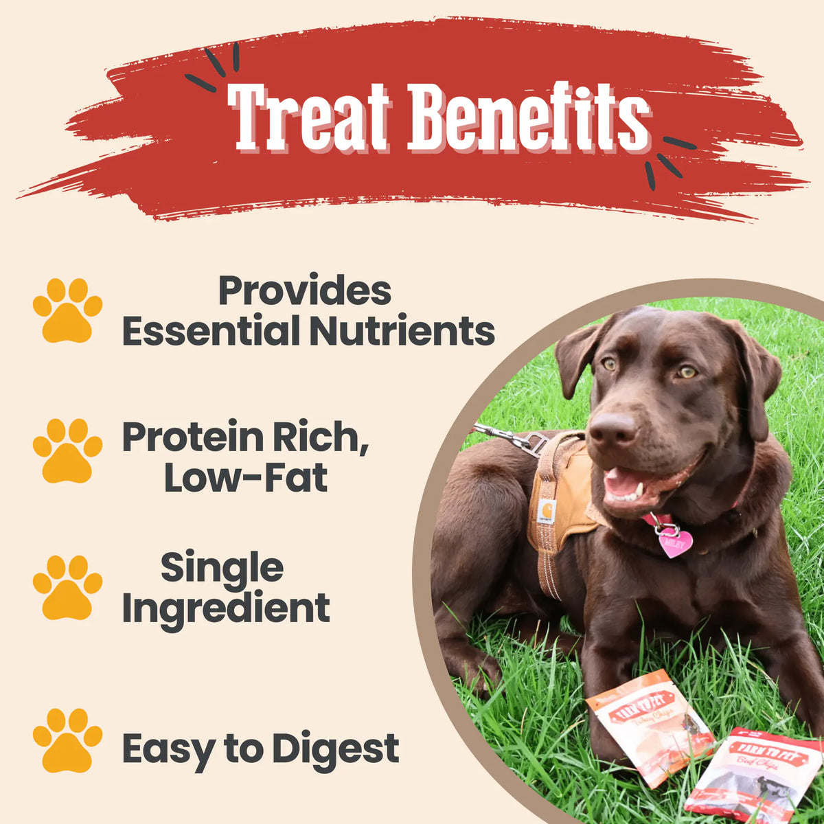 Snack Pack Dog Treat Sampler product image 13