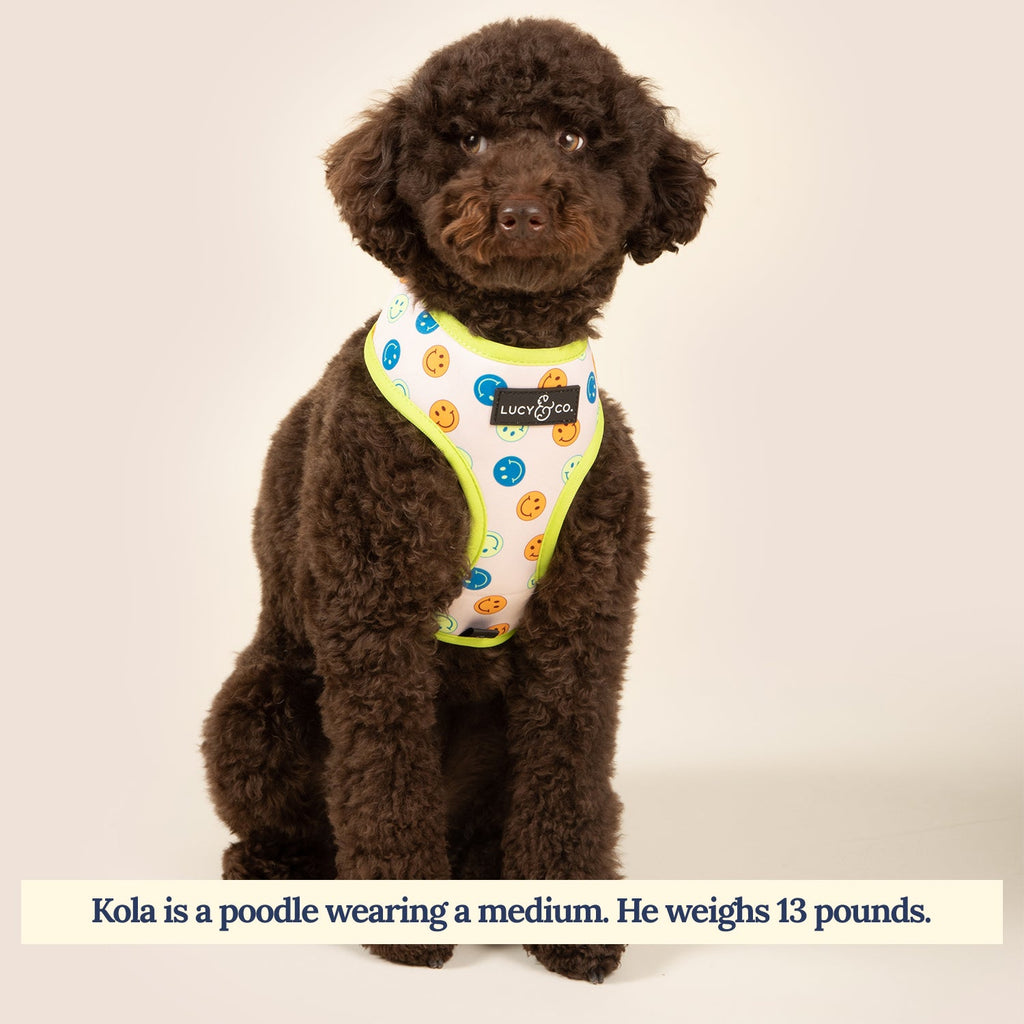 Have a Nice Day Reversible Harness