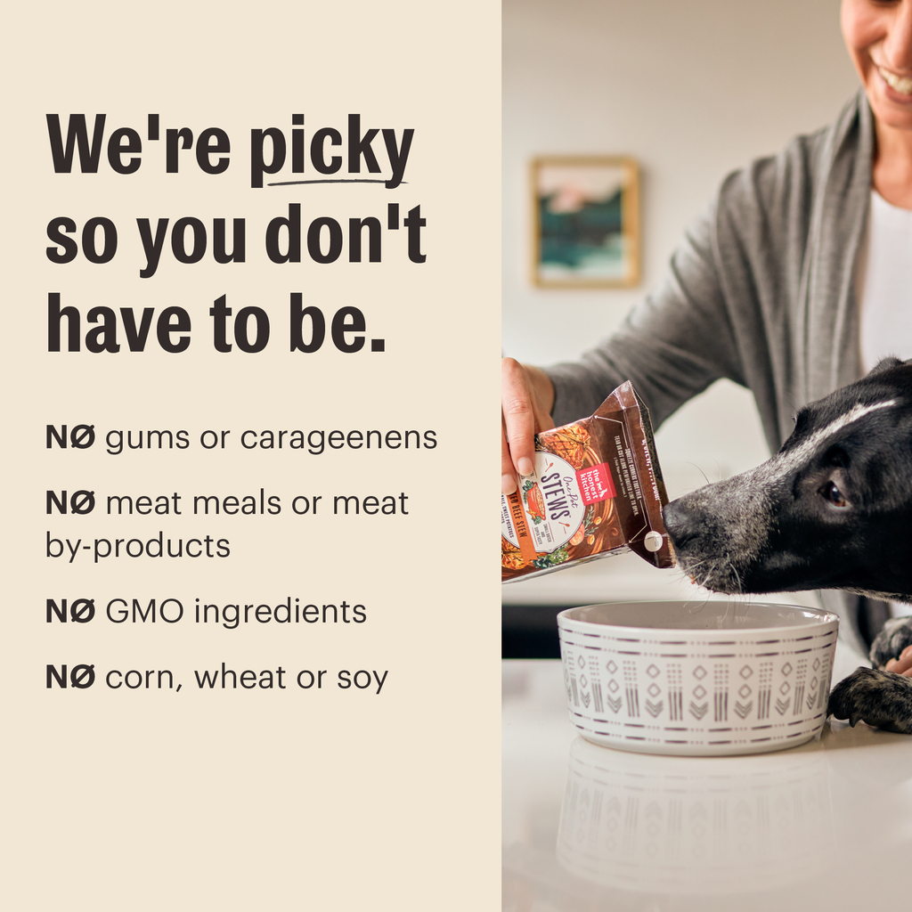Human Grade Wet Dog Food from The Honest Kitchen