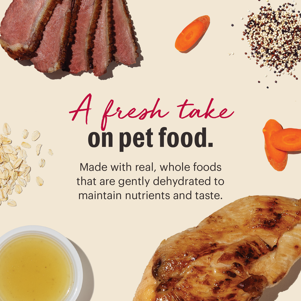 Whole Grain Chicken & Duck dehydrated dog food from The Honest Kitchen