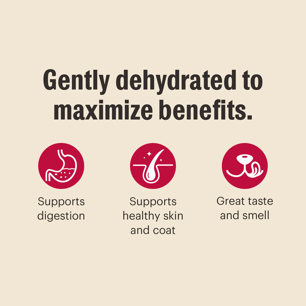 dehydrated dog food from The Honest Kitchen