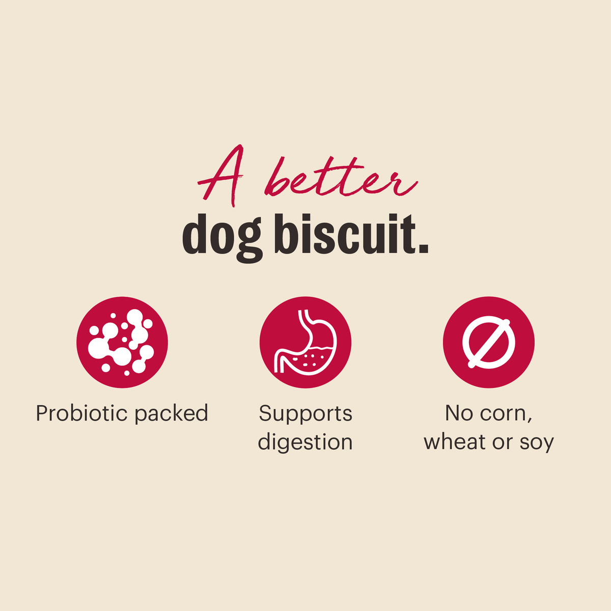Goat's Milk N Cookies Crunchy Dog Treats with Probiotics from The Honest Kitchen