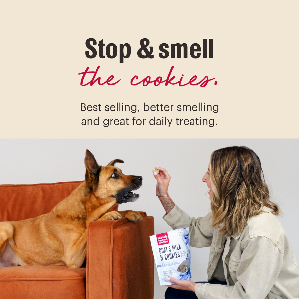 Goat's Milk N Cookies Crunchy Dog Treats with Probiotics from The Honest Kitchen