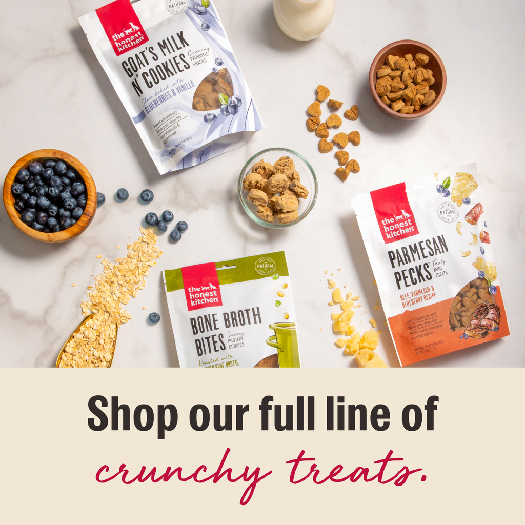 crunchy dog treats from The Honest Kitchen