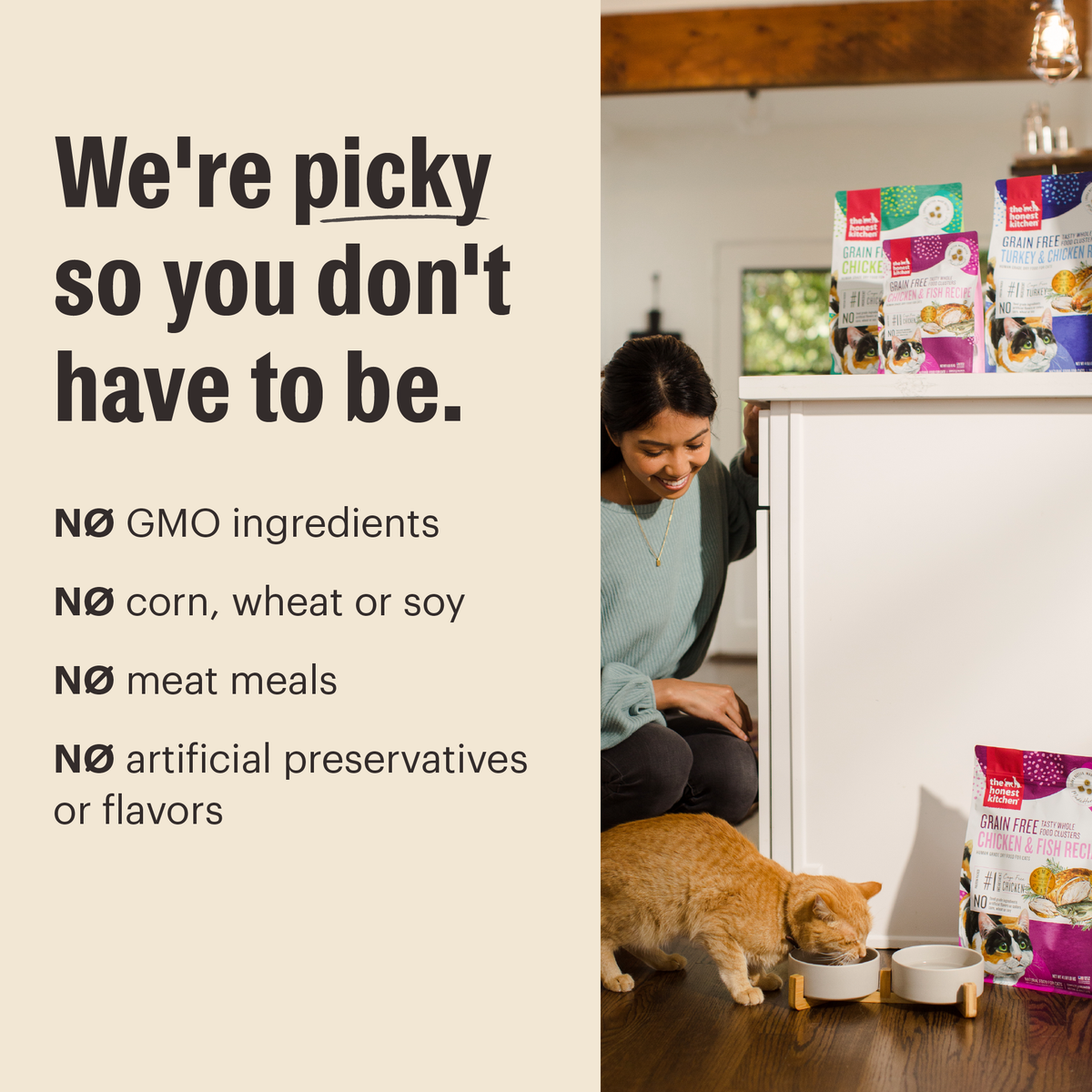 Whole Food Clusters Dry Cat Food from The Honest Kitchen