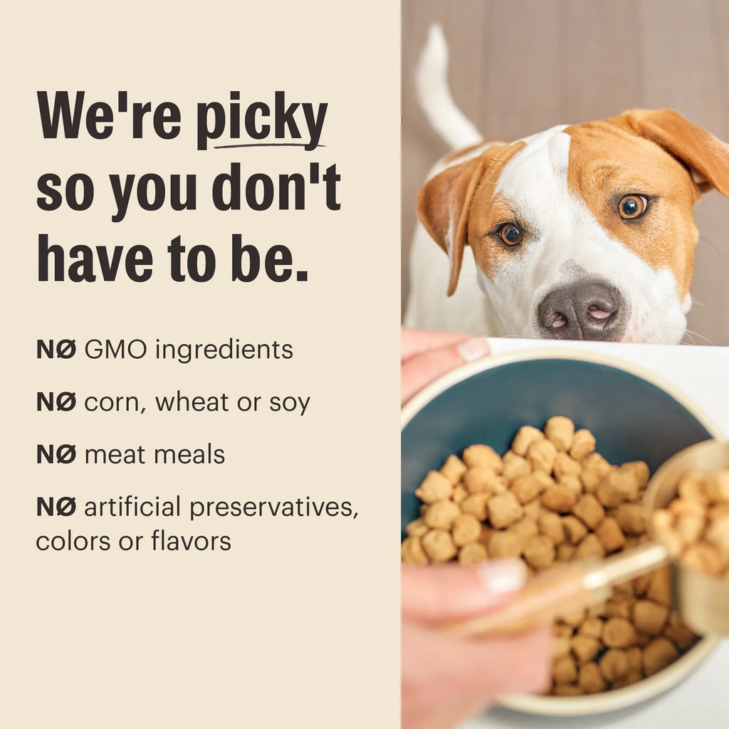 Grain Free Chicken Whole Food Clusters product image 6