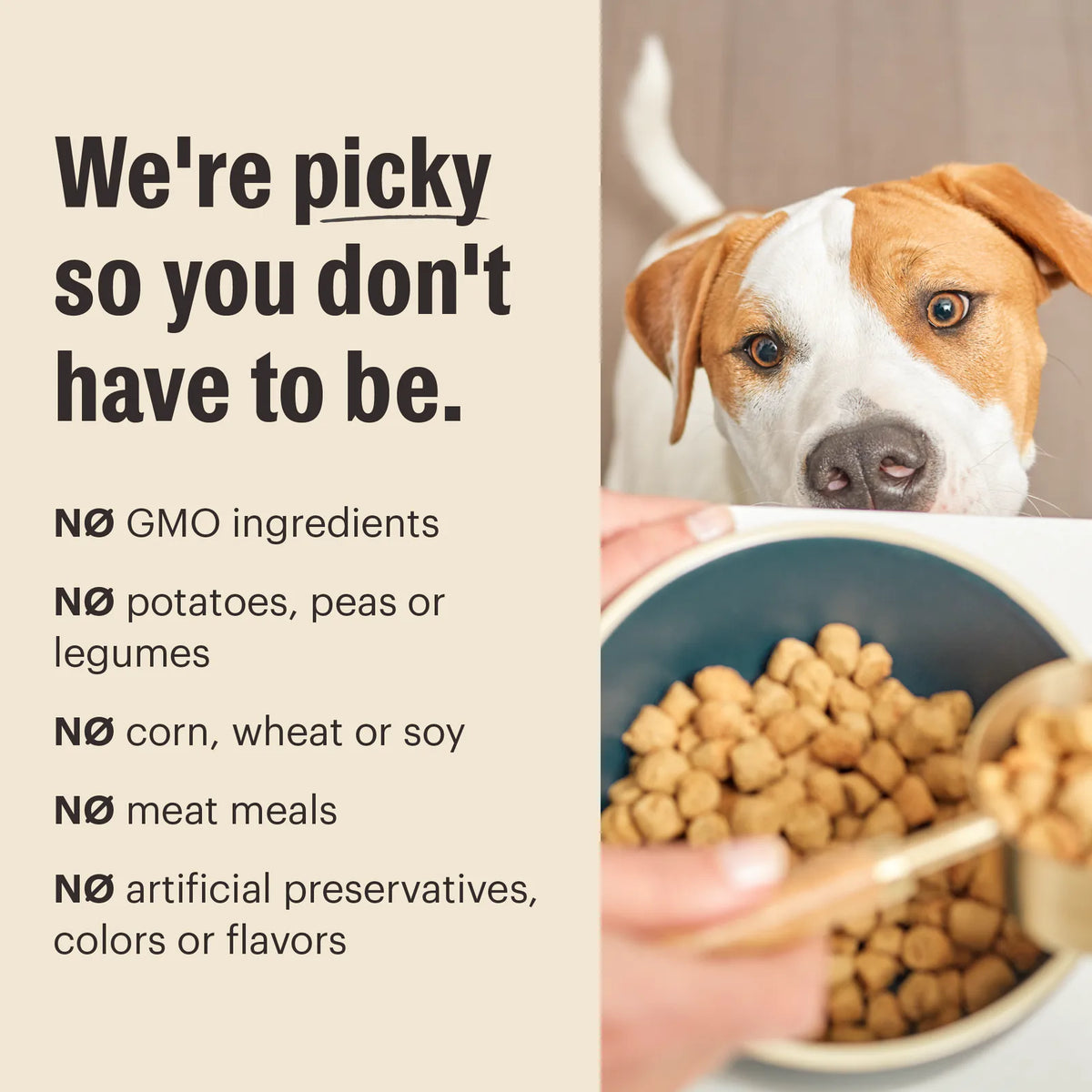 Whole Grain Chicken Whole Food Clusters for Small Breeds product image 6