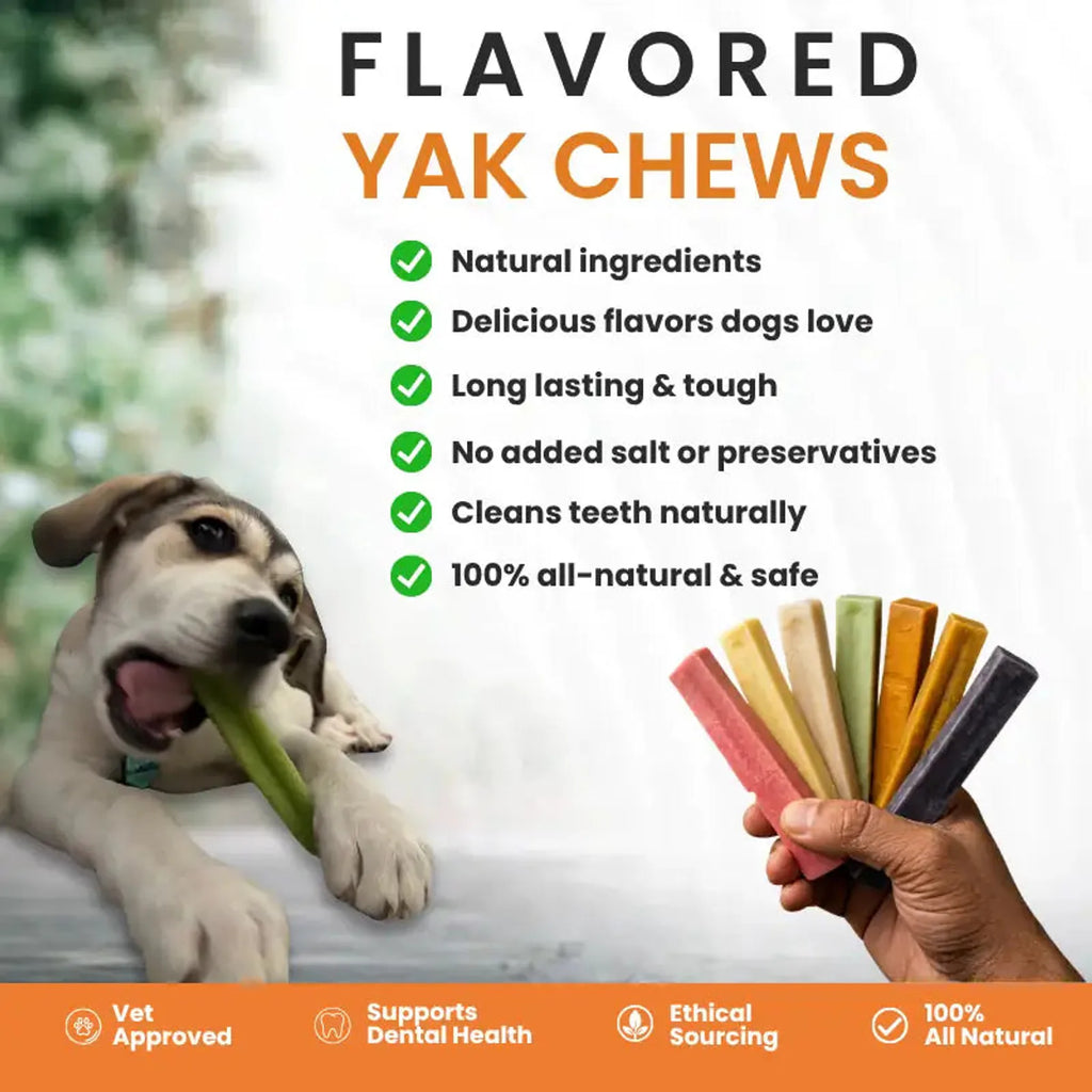 Blueberry Himalayan Yak Chew for Dogs product image 6