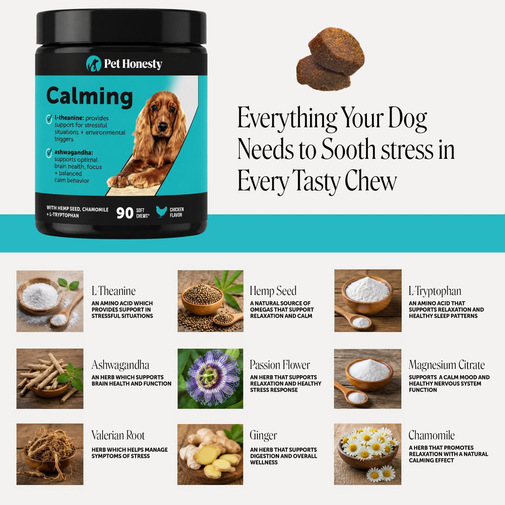 Hemp Calming Soft Chews for Dogs product image 4