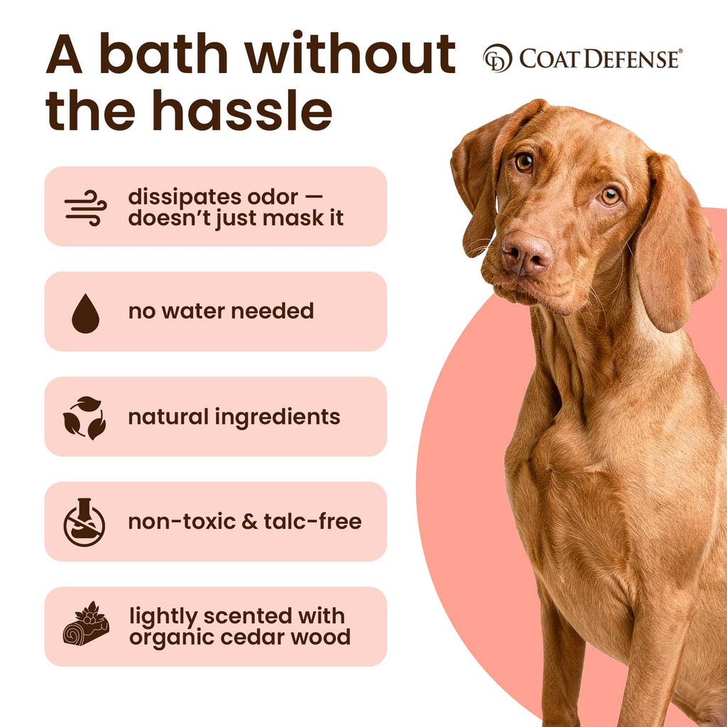 Dog Paw Care Powder and Shampoo Bundle product image 6