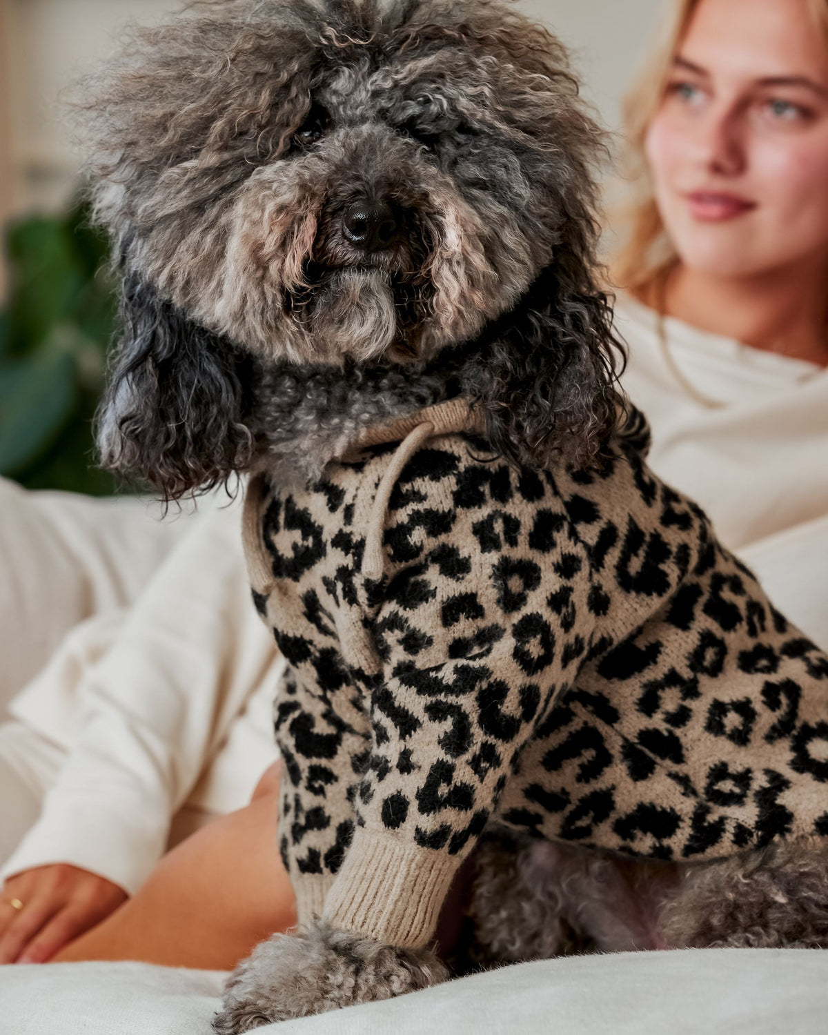 Milan Leopard Print Hoodie Product Image Detail french bulldog winter gear