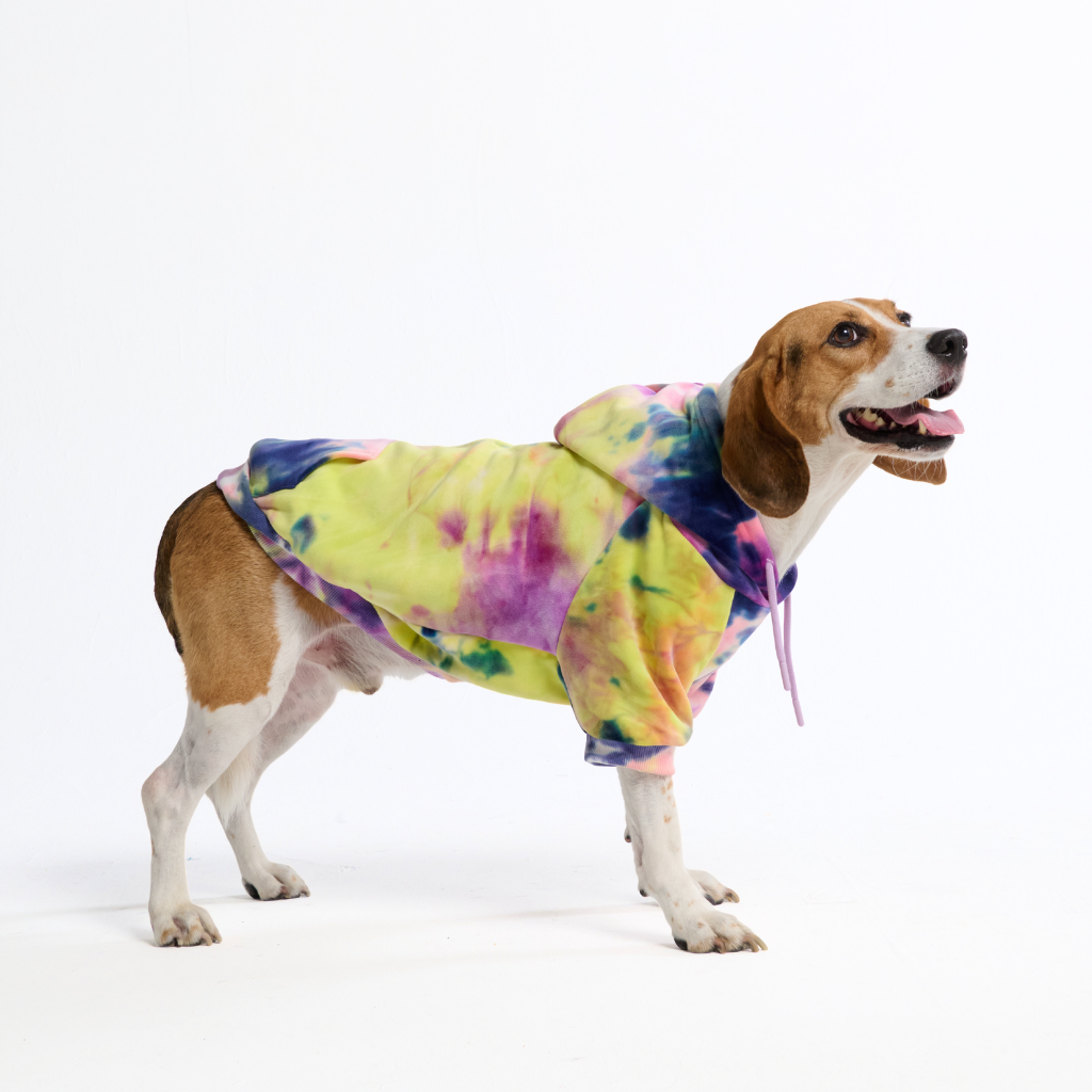 Berry Lemonade Velvet Fleece Dog Hoodie, 2XL