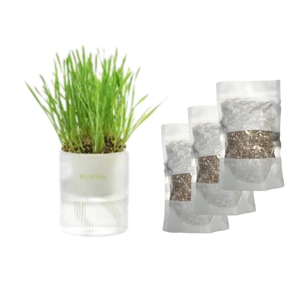 Michu All-in-One Soil-Free Cat Grass Grow Kit - Made In USA Cat Grass Grow Kit + Seed Pack*3