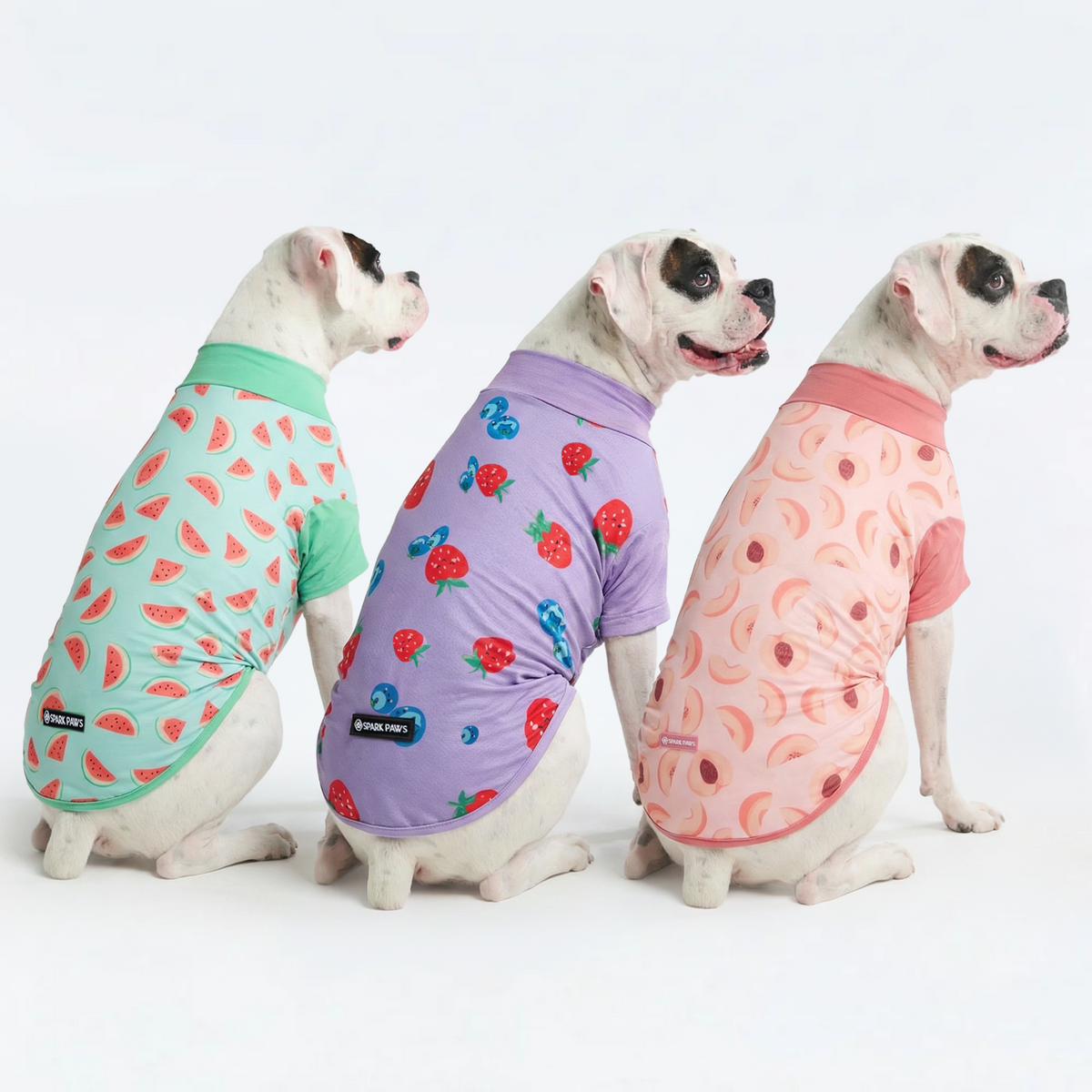 UPF 30 Dog Sun Shirt, Watermelon Berries Peaches / 2XL
