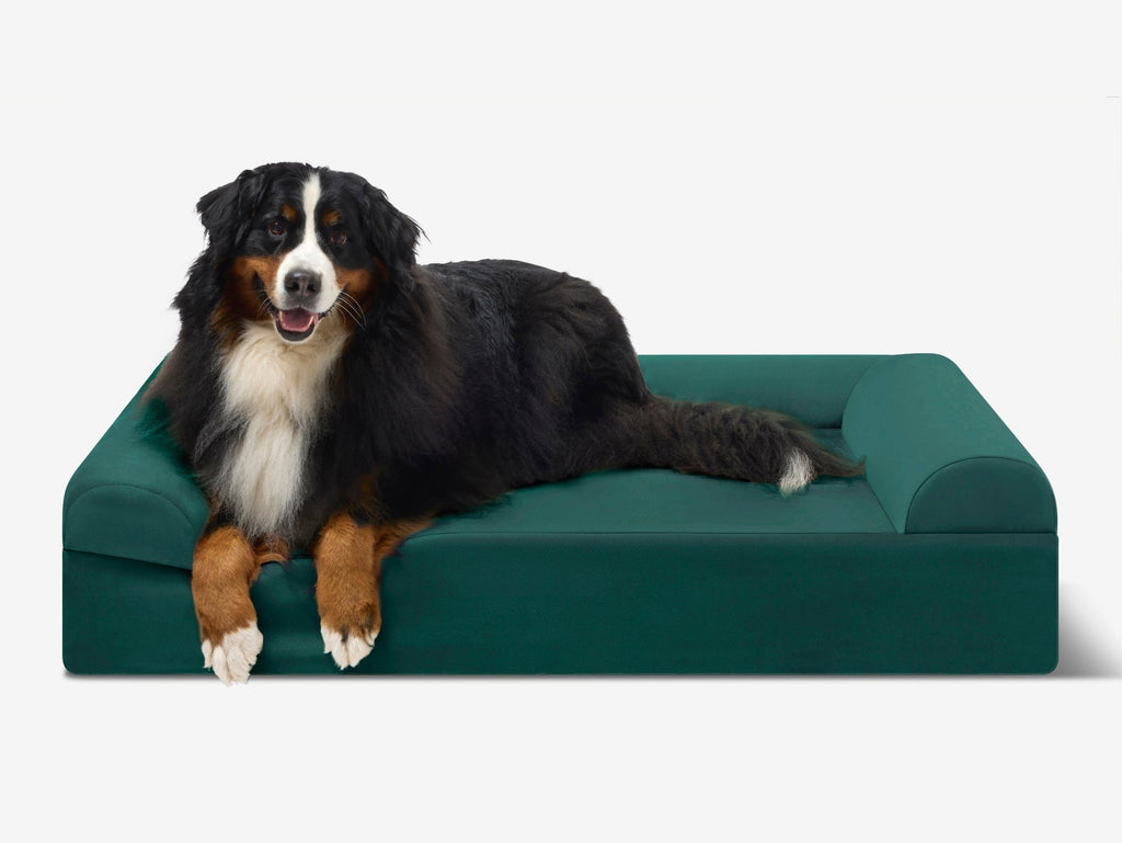 Seven-Inch Orthopedic Dog Bed product image 57