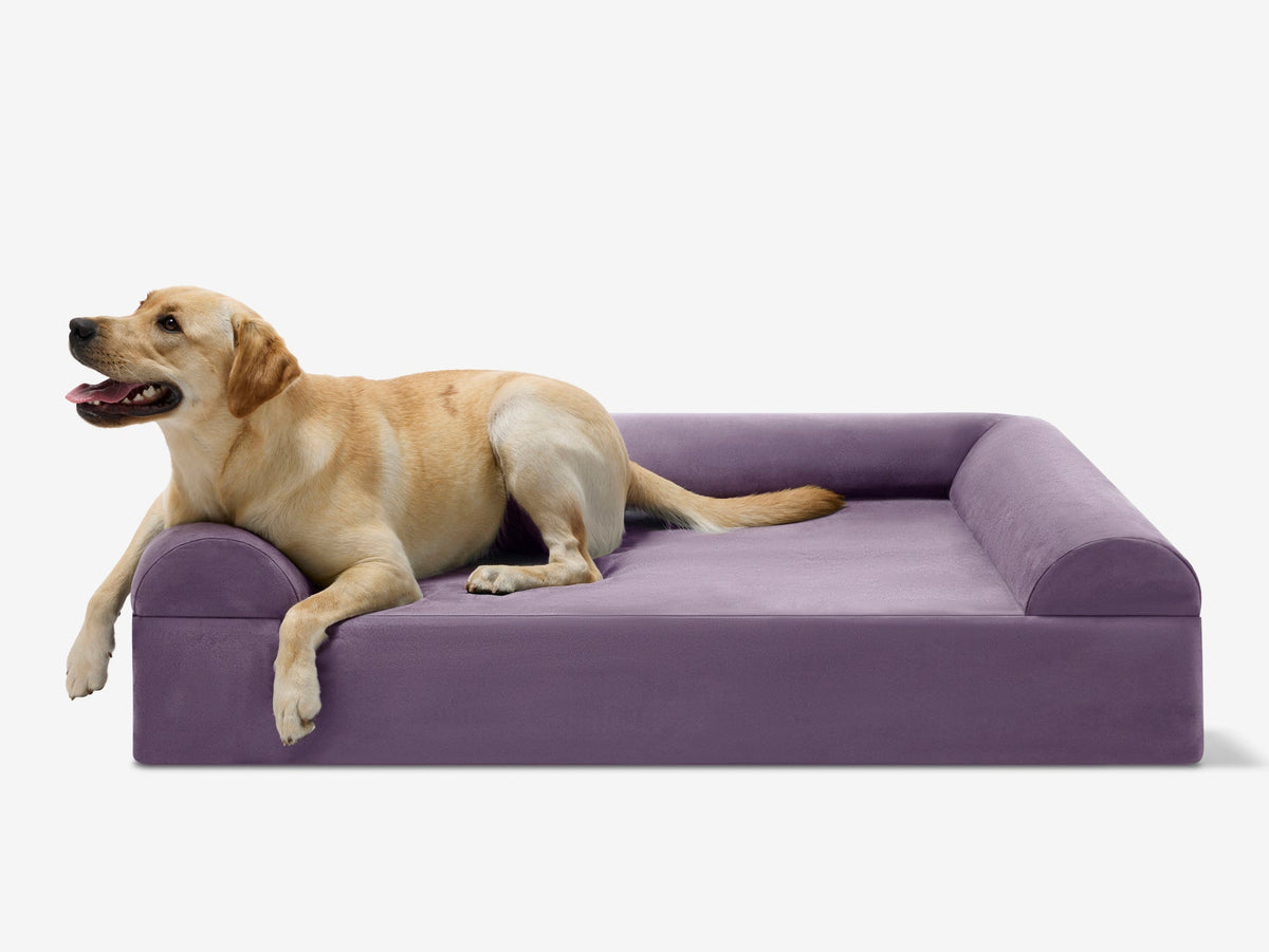 Seven-Inch Orthopedic Dog Bed product image 66