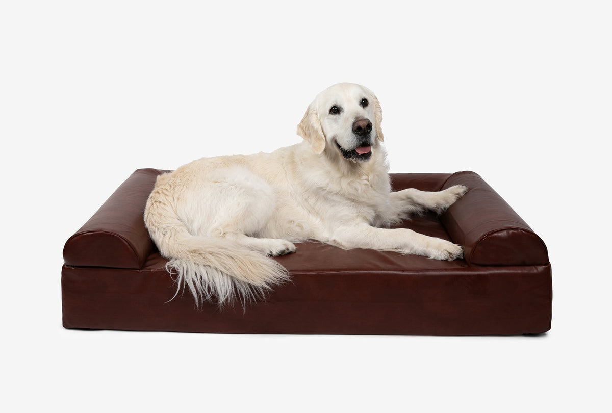 Seven-Inch Orthopedic Dog Bed product image 91