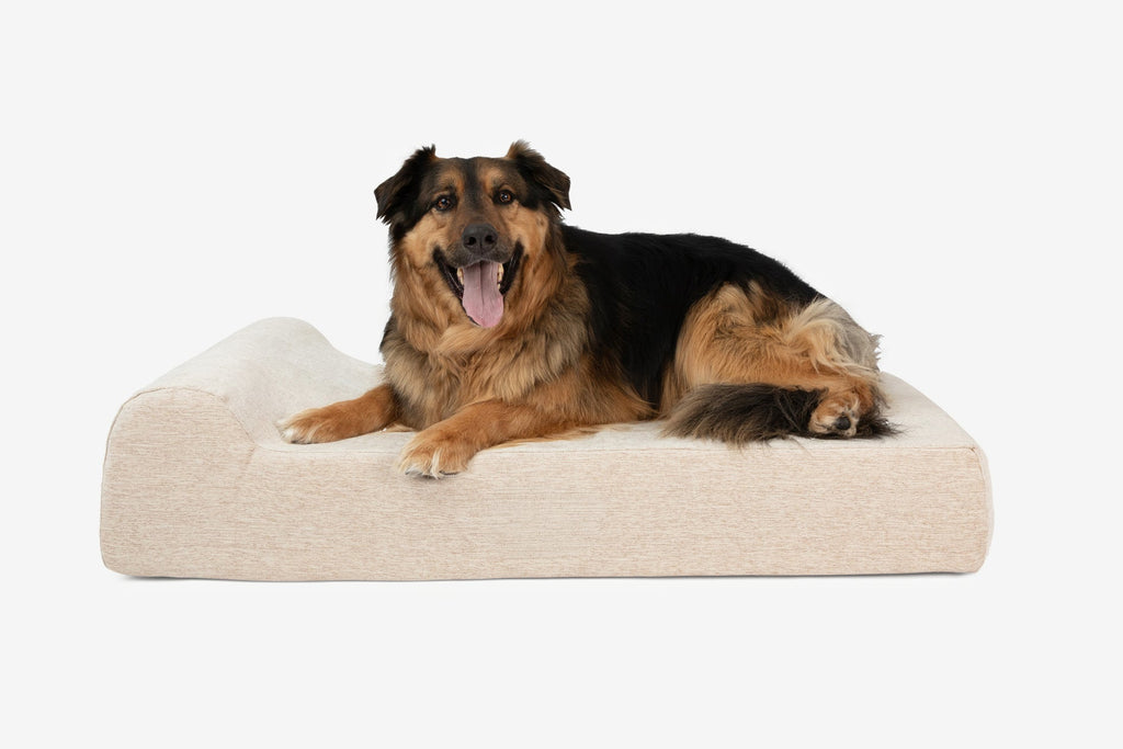 Seven-Inch Orthopedic Dog Bed product image 116