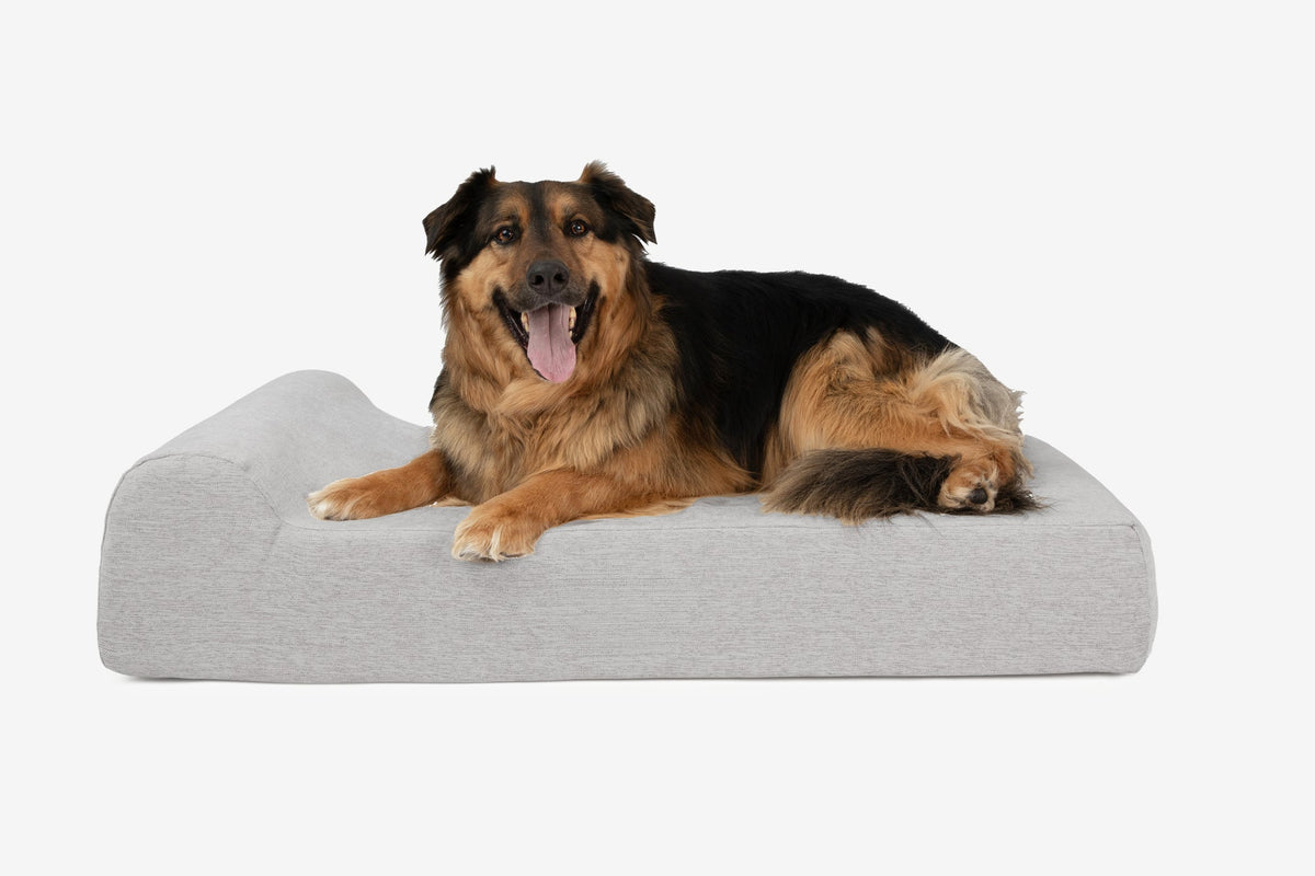 Seven-Inch Orthopedic Dog Bed product image 117