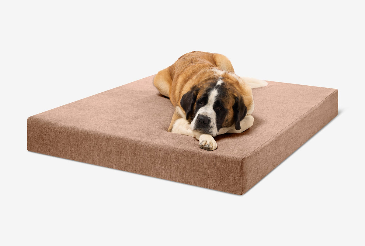 Seven-Inch Orthopedic Dog Bed, Sleek Edition / Giant - 60" x 48" x 7" / Mocha Linen