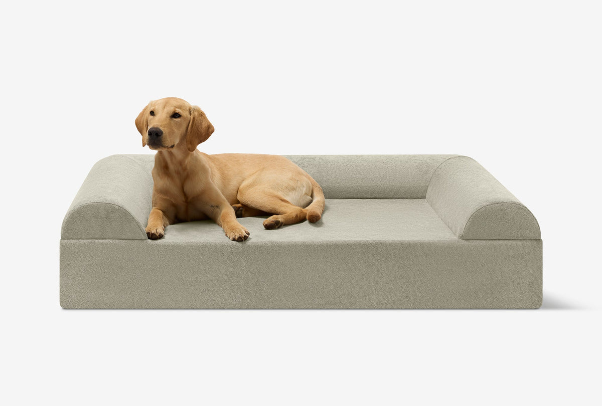 Seven-Inch Orthopedic Dog Bed, Sofa Edition / Large - 48" x 30" x 7" / Jade Microplush