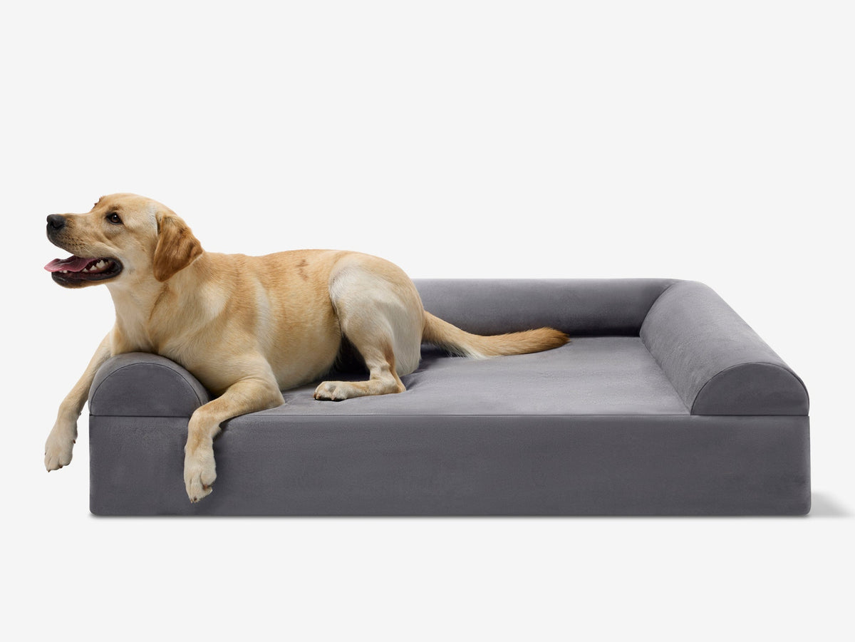 Seven-Inch Orthopedic Dog Bed, Sofa Edition / Large - 48" x 30" x 7" / Charcoal Gray