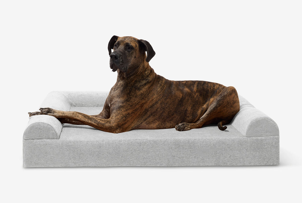 Seven-Inch Orthopedic Dog Bed, Sofa Edition / Giant - 60" x 48" x 7" / Stormcloud Linen