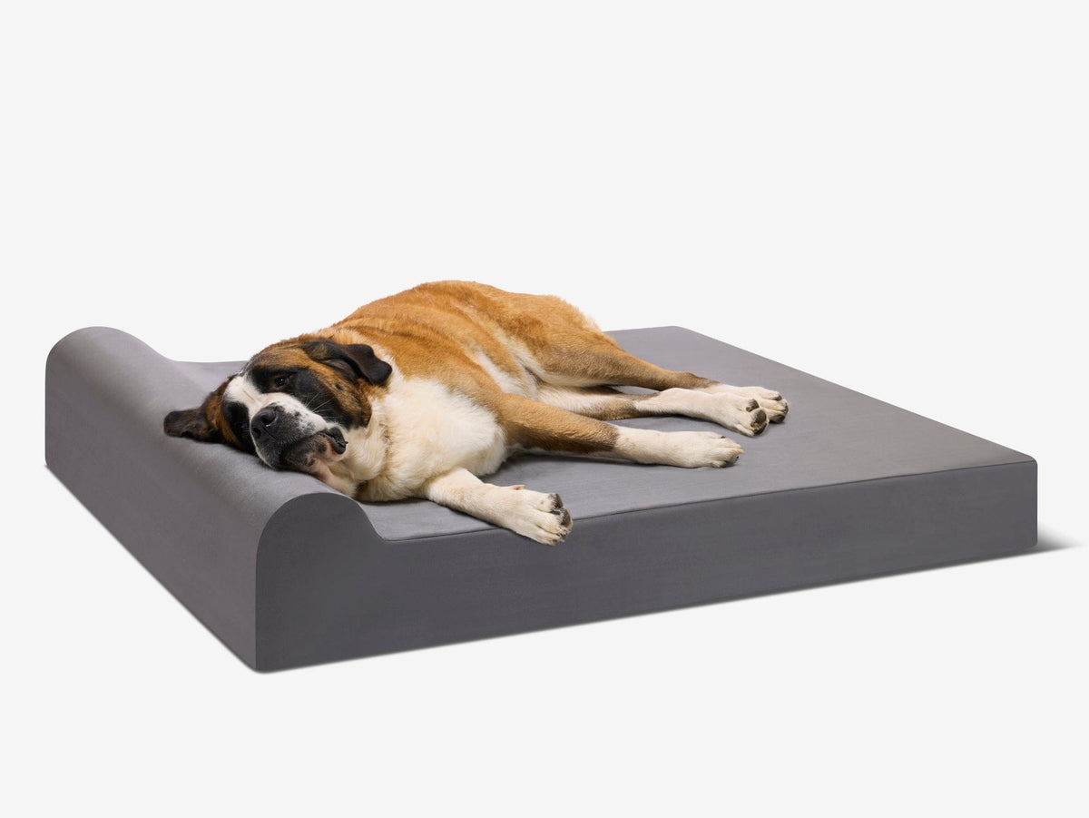 Seven-Inch Orthopedic Dog Bed, Headrest Edition / Giant - 60" x 48" x 7" / Charcoal Gray