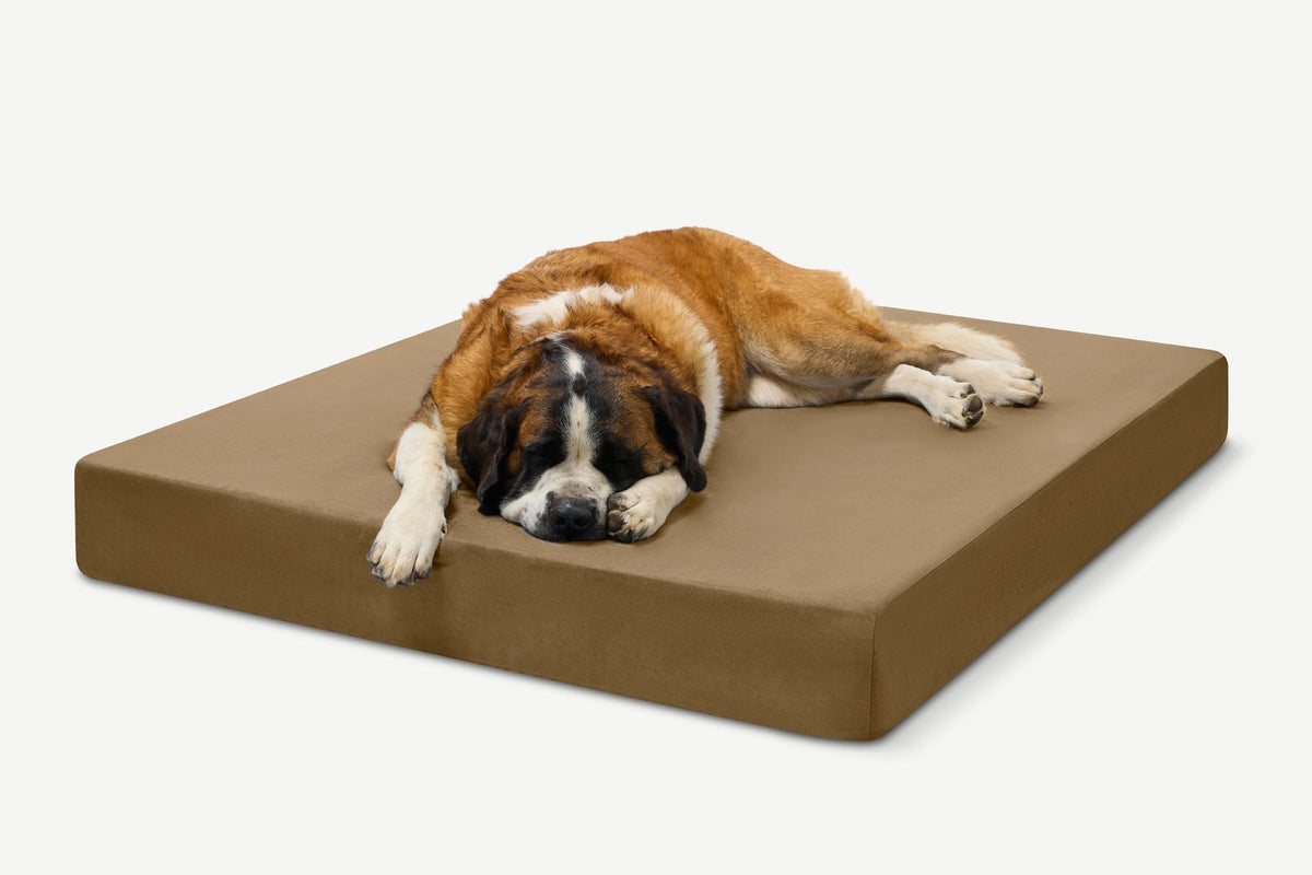 Seven-Inch Orthopedic Dog Bed, Sleek Edition / Giant - 60" x 48" x 7" / Tough Cordura