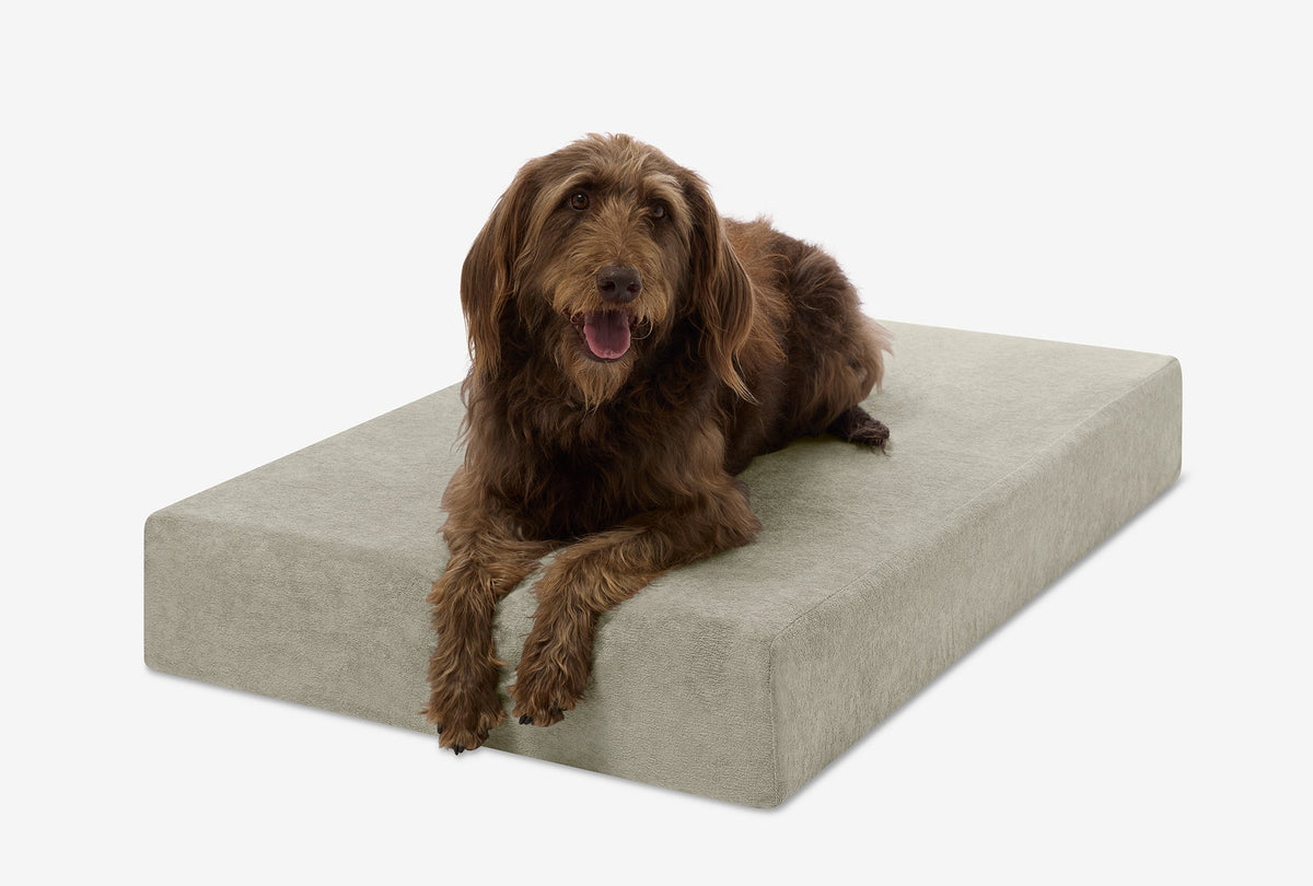 Seven-Inch Orthopedic Dog Bed, Sleek Edition / Large - 48" x 30" x 7" / Jade Microplush