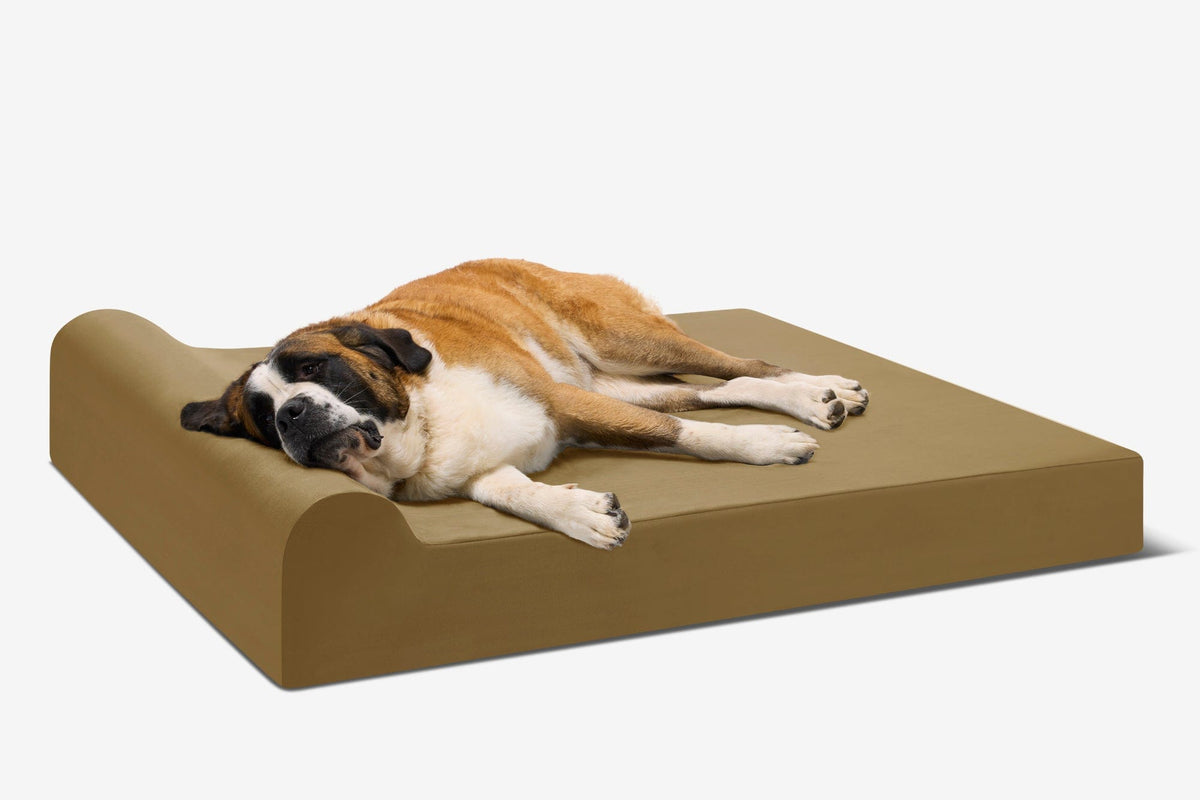Seven-Inch Orthopedic Dog Bed, Headrest Edition / Giant - 60" x 48" x 7" / Tough Cordura
