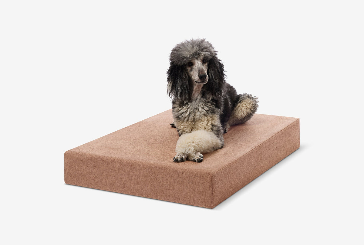 Seven-Inch Orthopedic Dog Bed, Sleek Edition / Large - 48" x 30" x 7" / Mocha Linen