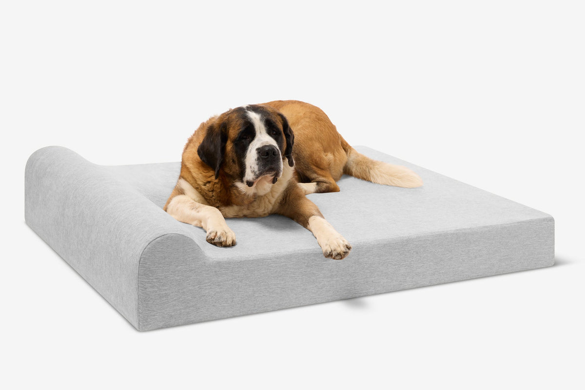 Seven-Inch Orthopedic Dog Bed, Headrest Edition / Giant - 60" x 48" x 7" / Stormcloud Linen