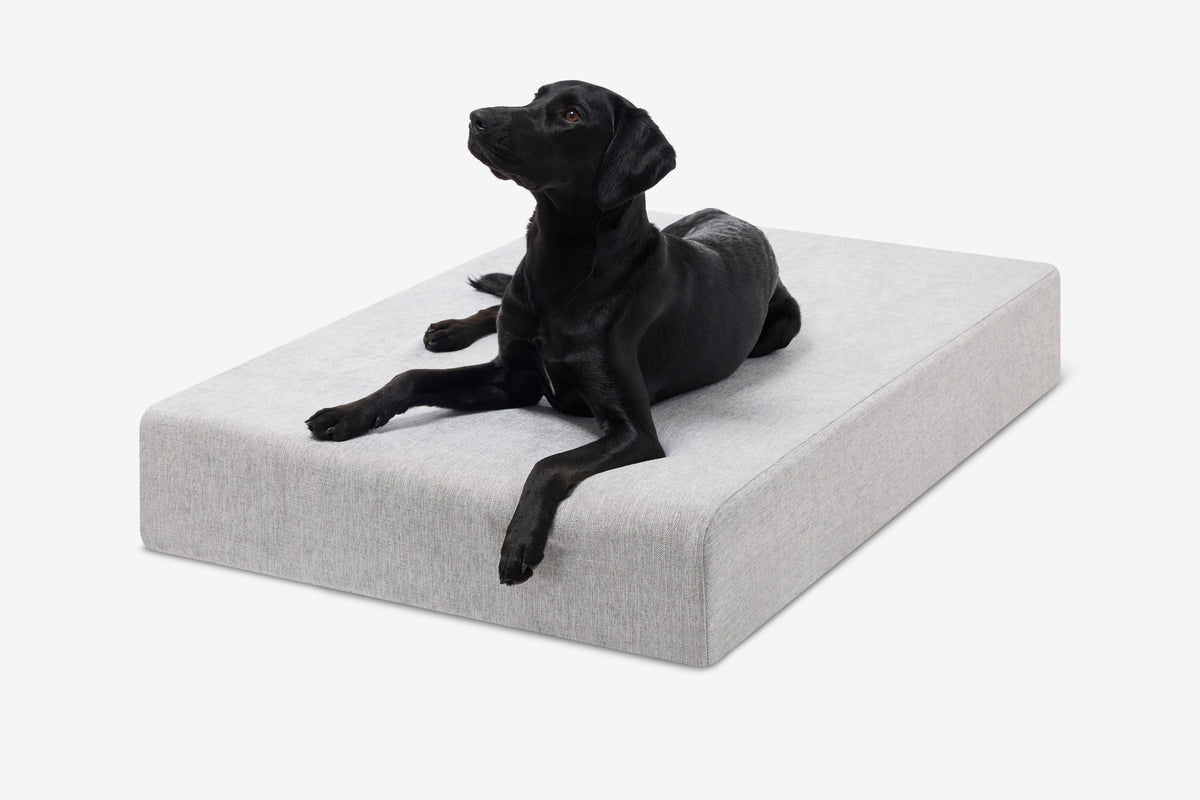 Seven-Inch Orthopedic Dog Bed, Sleek Edition / Large - 48" x 30" x 7" / Stormcloud Linen