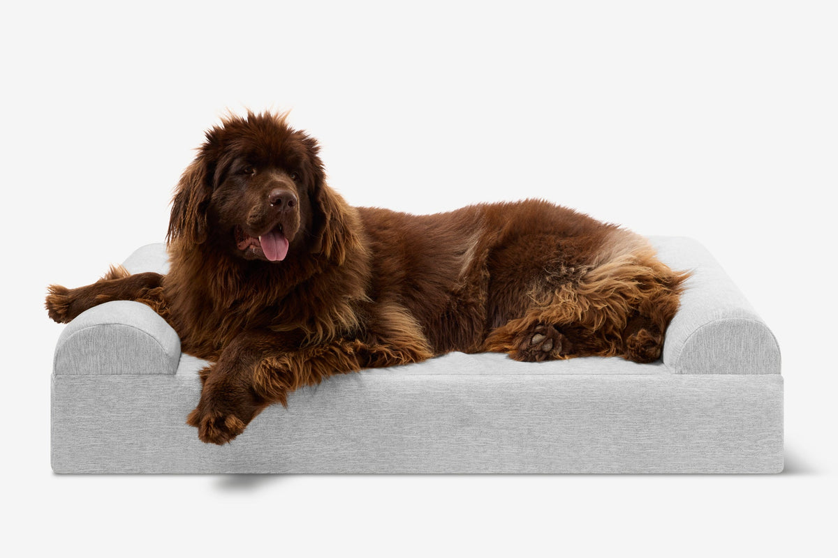 Seven-Inch Orthopedic Dog Bed, Sofa Edition / Extra Large - 52" x 36" x 7" / Stormcloud Linen