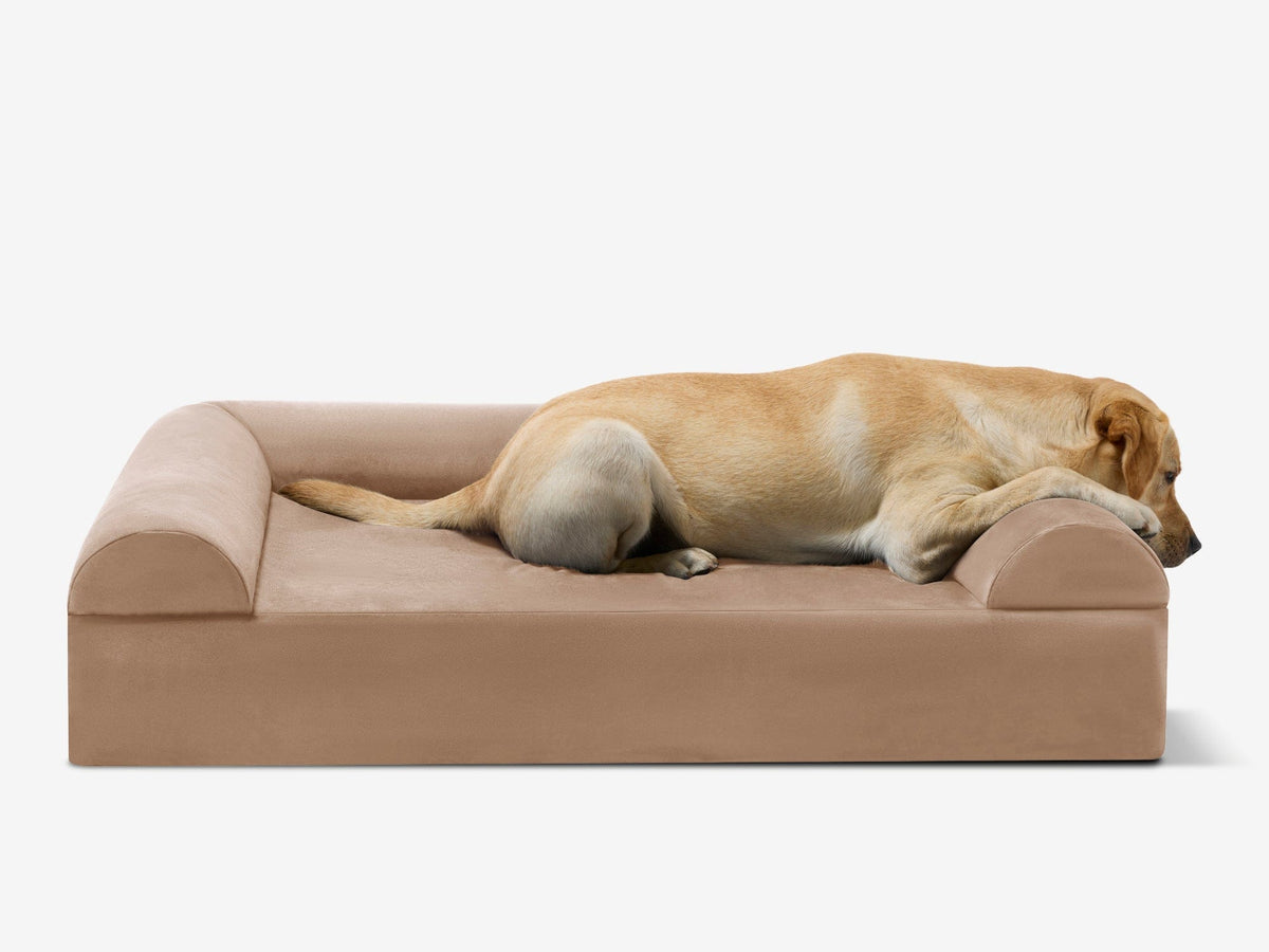 Seven-Inch Orthopedic Dog Bed, Sofa Edition / Large - 48" x 30" x 7" / Khaki