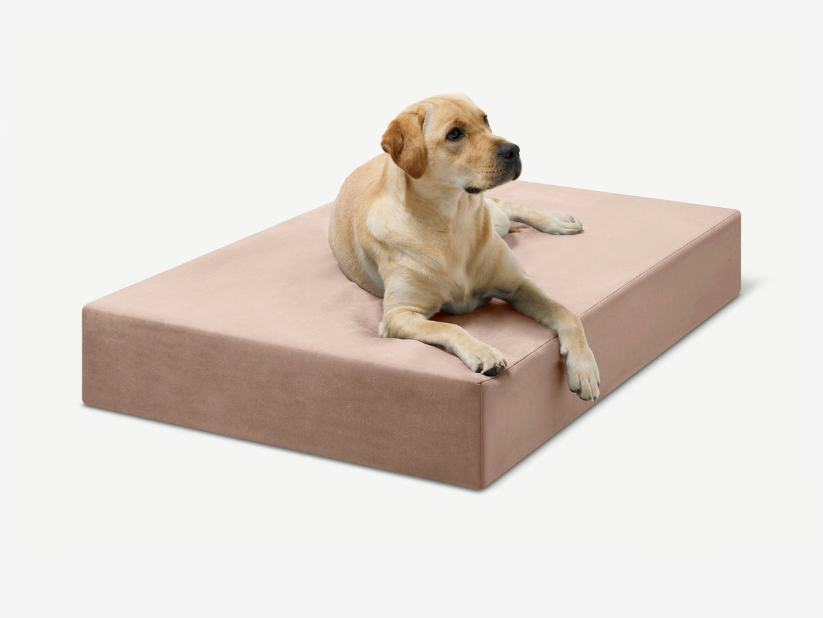Seven-Inch Orthopedic Dog Bed, Sleek Edition / Large - 48" x 30" x 7" / Khaki