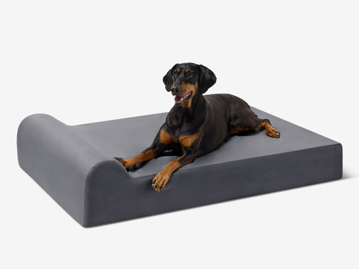 Seven-Inch Orthopedic Dog Bed, Headrest Edition / Extra Large - 52" x 36" x 7" / Charcoal Gray