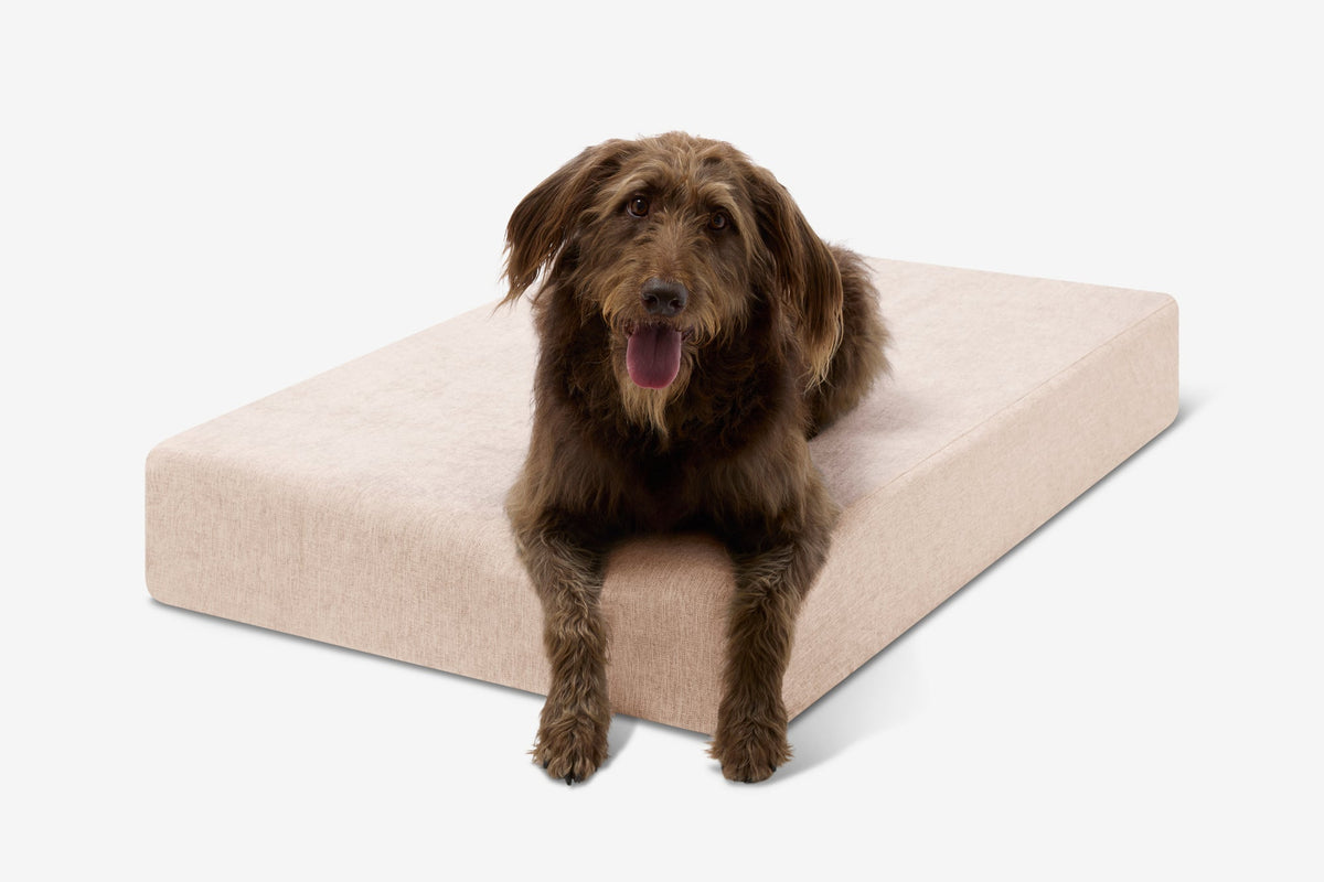 Seven-Inch Orthopedic Dog Bed, Sleek Edition / Large - 48" x 30" x 7" / Driftwood Linen