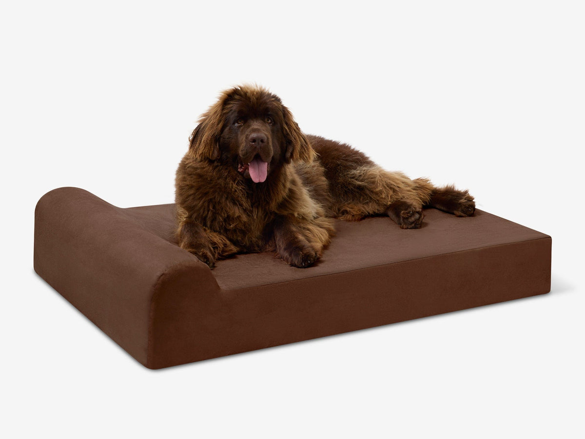 Seven-Inch Orthopedic Dog Bed, Headrest Edition / Extra Large - 52" x 36" x 7" / Chocolate