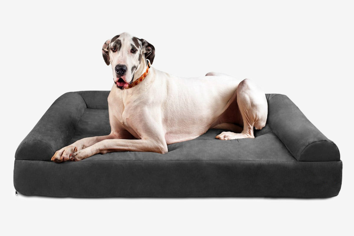 Seven-Inch Orthopedic Dog Bed, Sofa Edition / Giant - 60" x 48" x 7" / Charcoal Gray