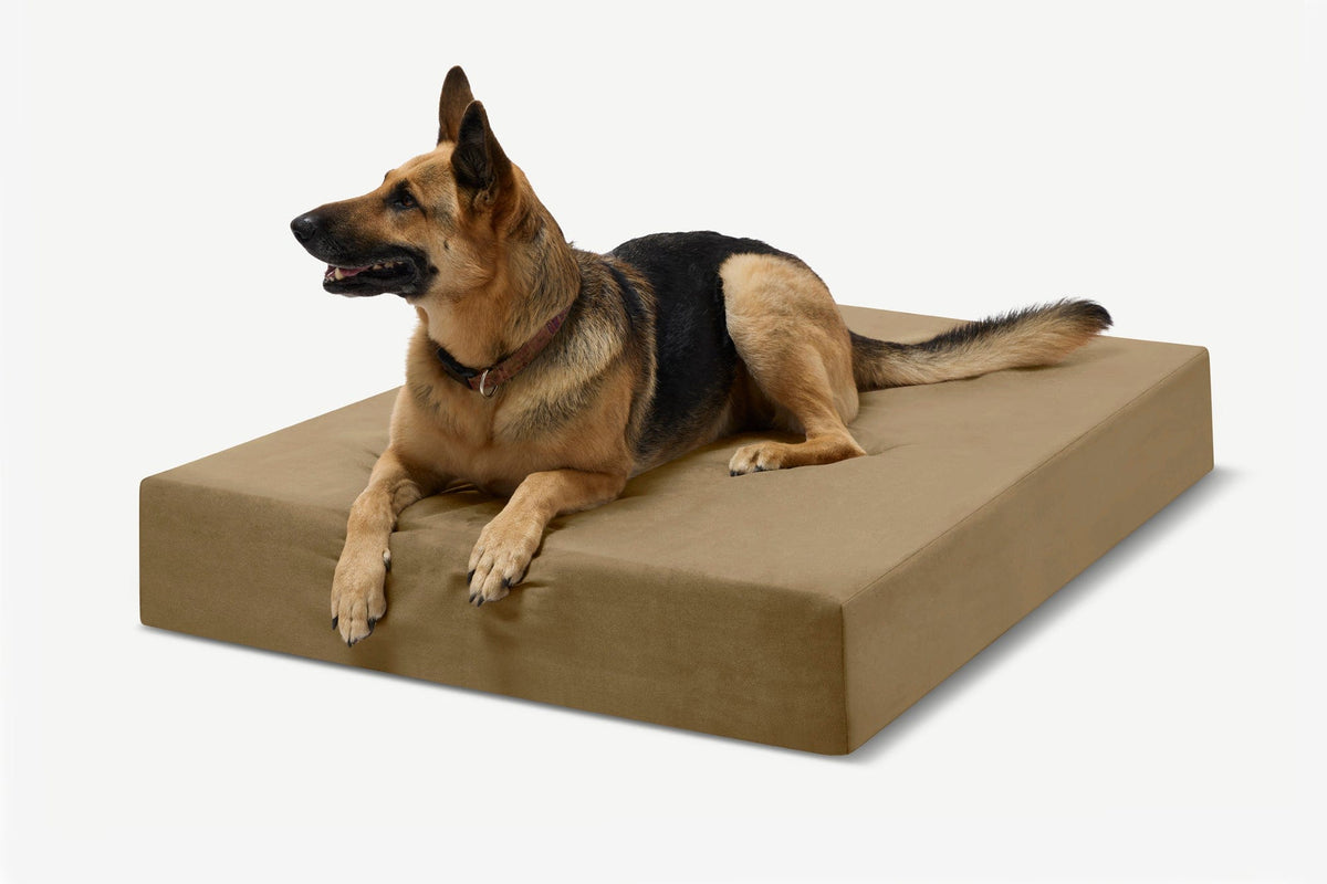 Seven-Inch Orthopedic Dog Bed, Sleek Edition / Extra Large - 52" x 36" x 7" / Tough Cordura