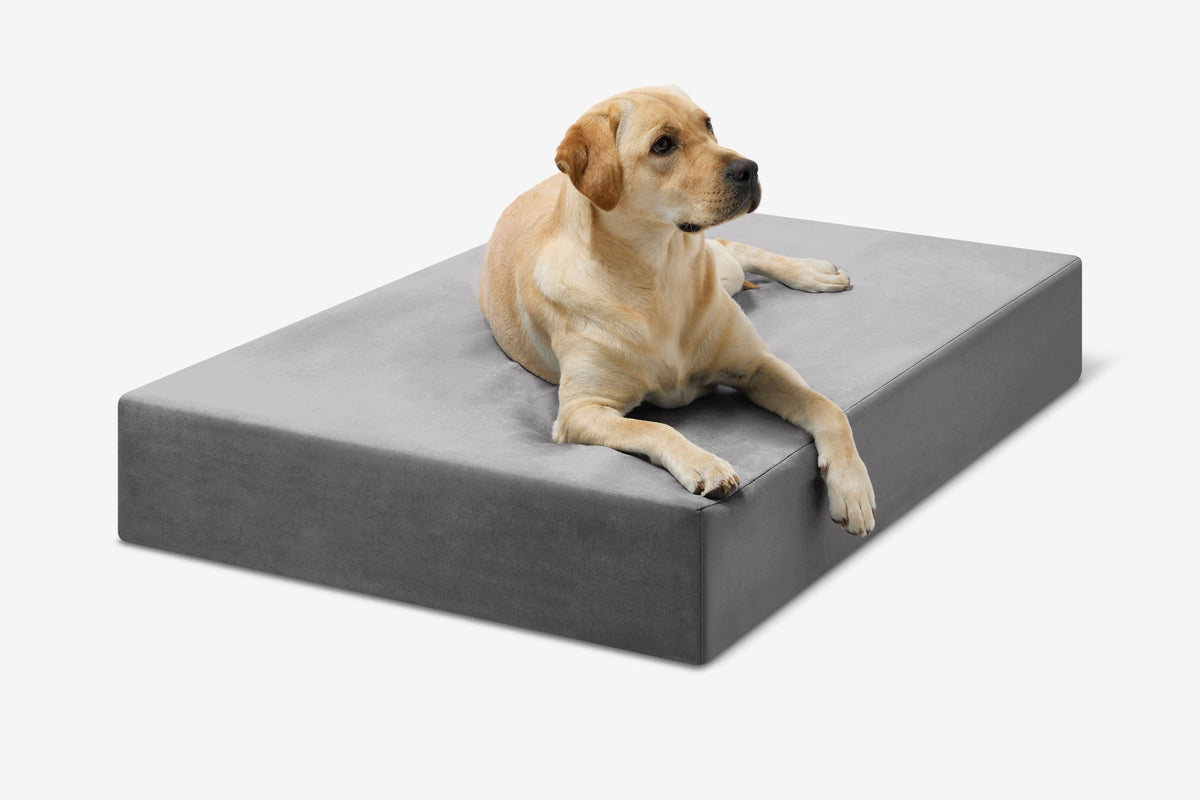Seven-Inch Orthopedic Dog Bed, Sleek Edition / Large - 48" x 30" x 7" / Charcoal Gray