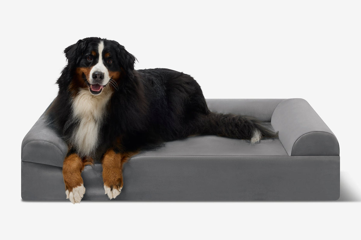 Seven-Inch Orthopedic Dog Bed, Sofa Edition / Extra Large - 52" x 36" x 7" / Charcoal Gray