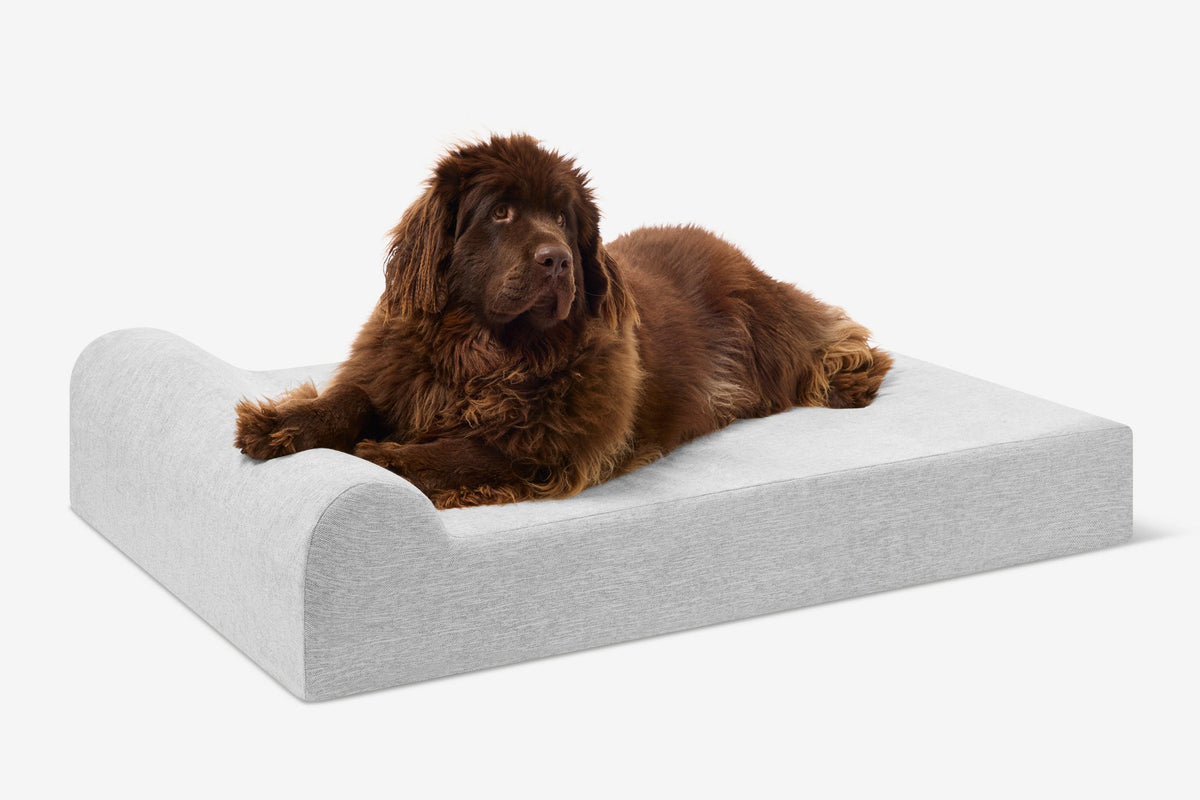 Seven-Inch Orthopedic Dog Bed, Headrest Edition / Extra Large - 52" x 36" x 7" / Stormcloud Linen
